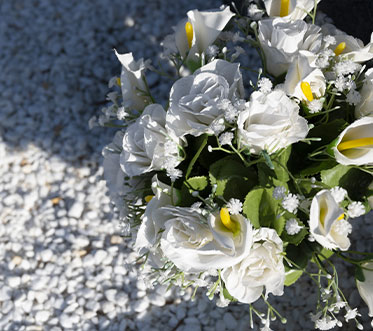 fabre-bony-aveyron-fleurs